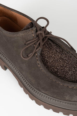 Zapato Teo ante marrón