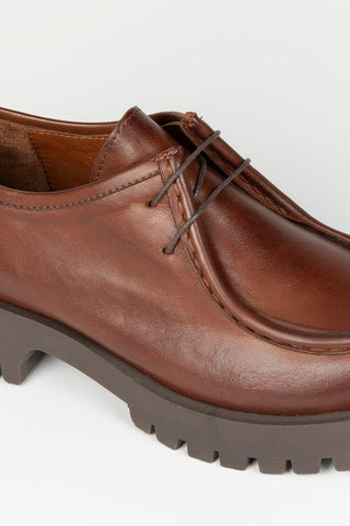 Zapato Lotti marrón