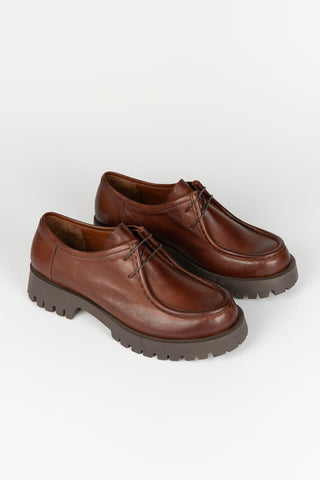 Zapato Lotti marrón